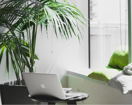 Importation des véhicules